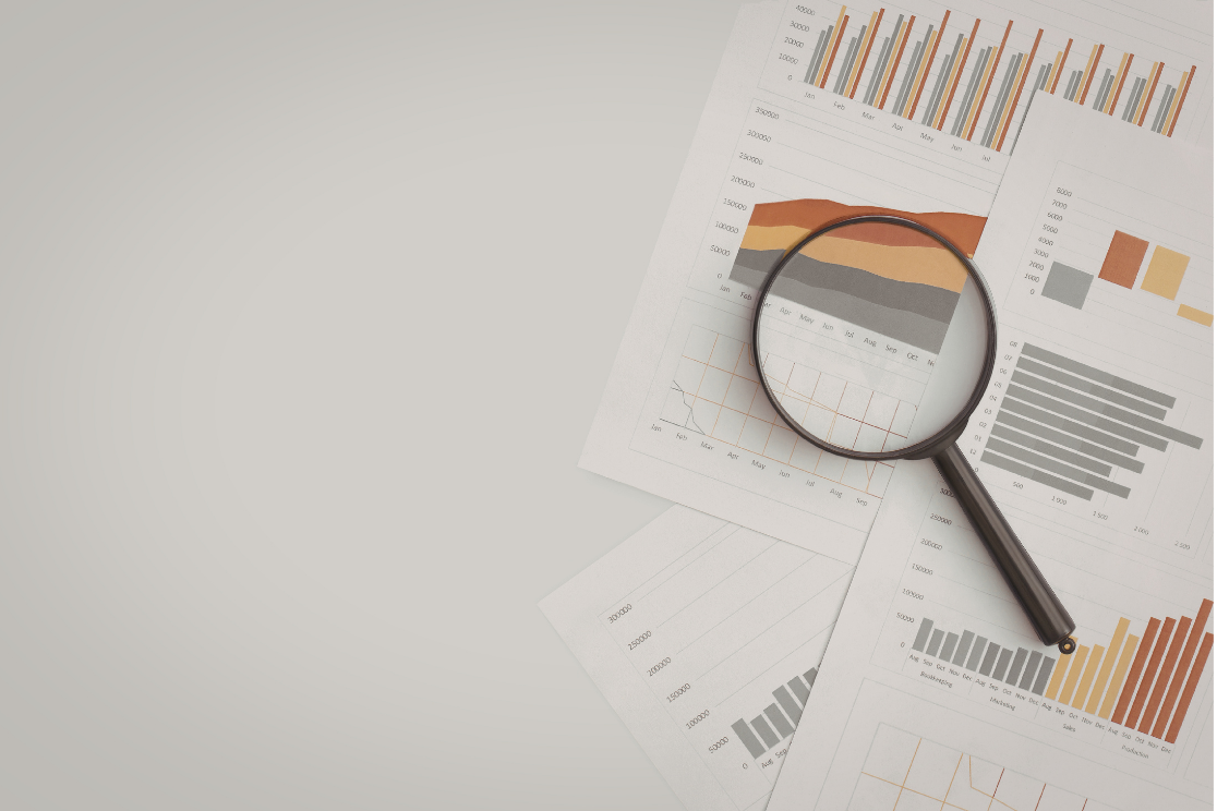 NetSuite Health Check by SuiteTech Services